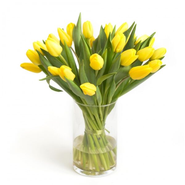 זר פרחים טוליפים צהובים | זר טוליפים